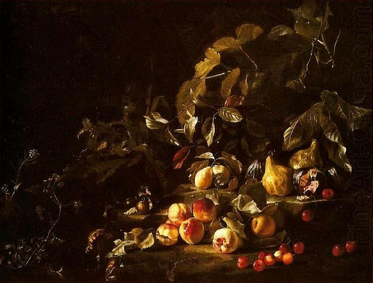 Abraham Brueghel Still life with fruit china oil painting image